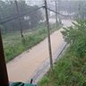 移住先の現実を見極める!