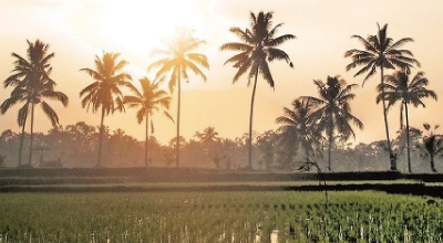 インドネシアの風景