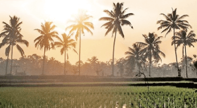 インドネシアの風景