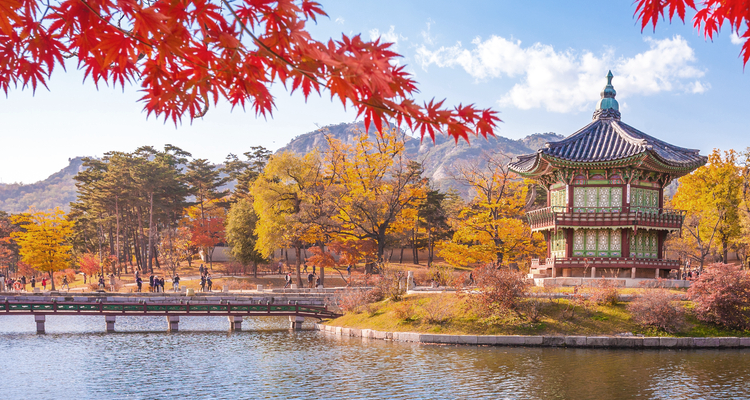 韓国の風景