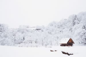 雪景色